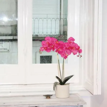 Apartment Spacious And Elegant Family - Bp1 *